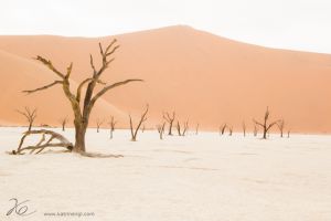 namibia dead vlei 1.jpg